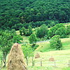 <b>Asezare si climat Baile Olanesti</b>